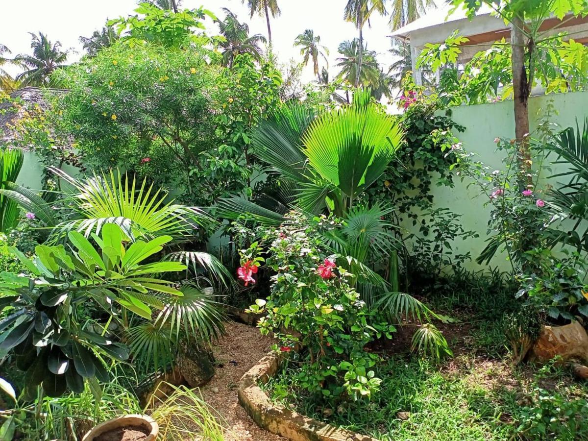 La Locanda Lodge - Apartment, 4 Double Rooms & Kitchen Near The Beach Jambiani  Ngoại thất bức ảnh