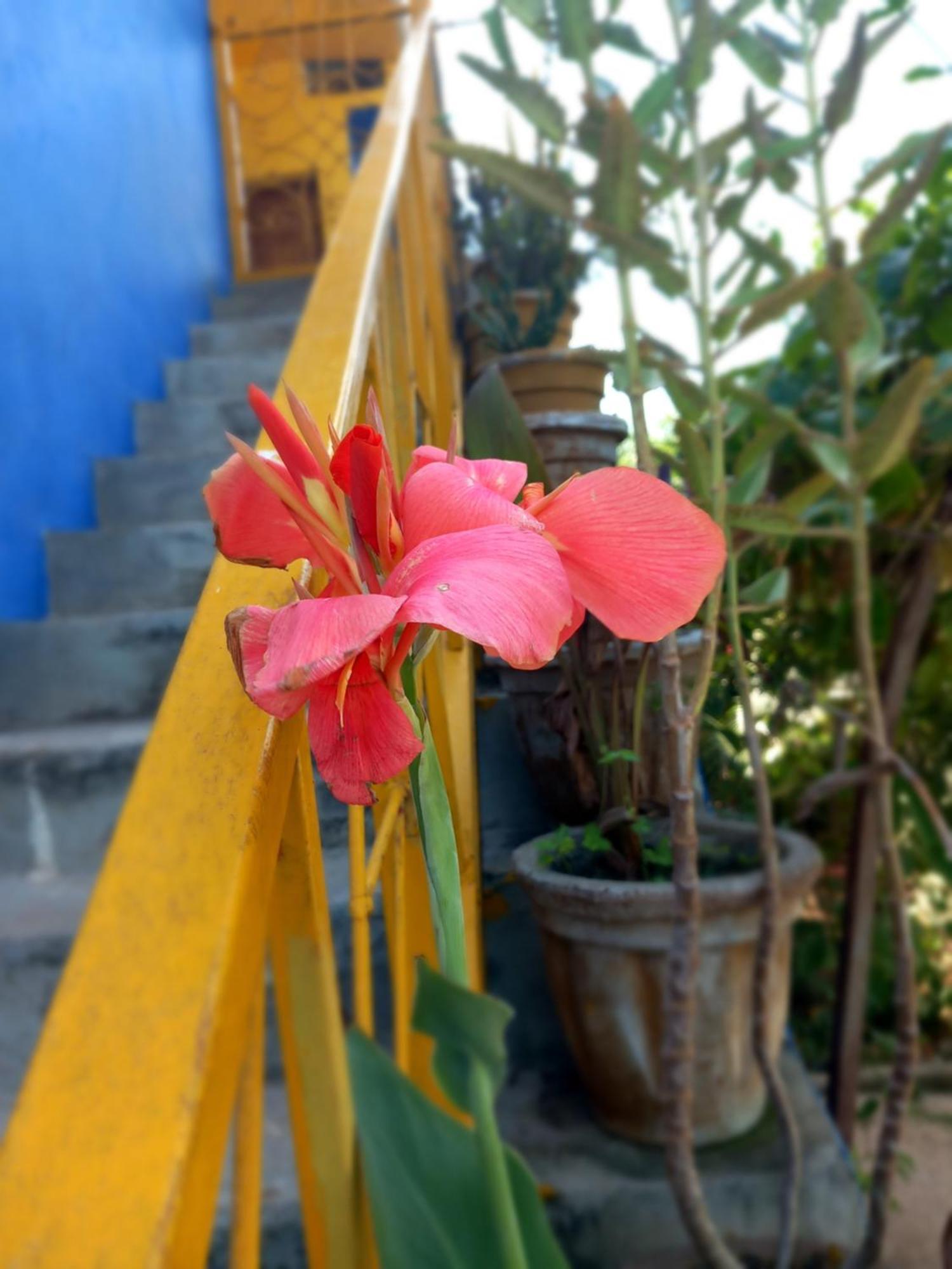 La Locanda Lodge - Apartment, 4 Double Rooms & Kitchen Near The Beach Jambiani  Ngoại thất bức ảnh